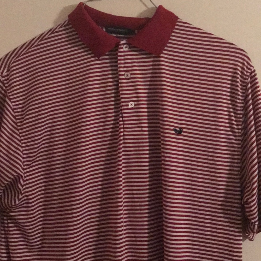 Southern Marsh Polo🦆